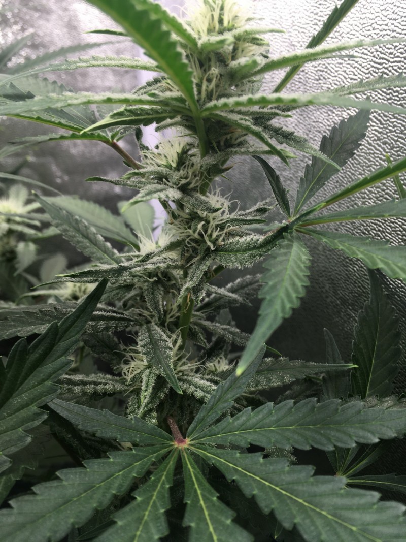 DDE73ABB-D870-46D5-9208-828E6EB5BC41