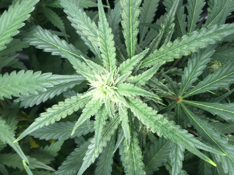 69CC263D-0A98-4645-8878-2FFCD0A67003