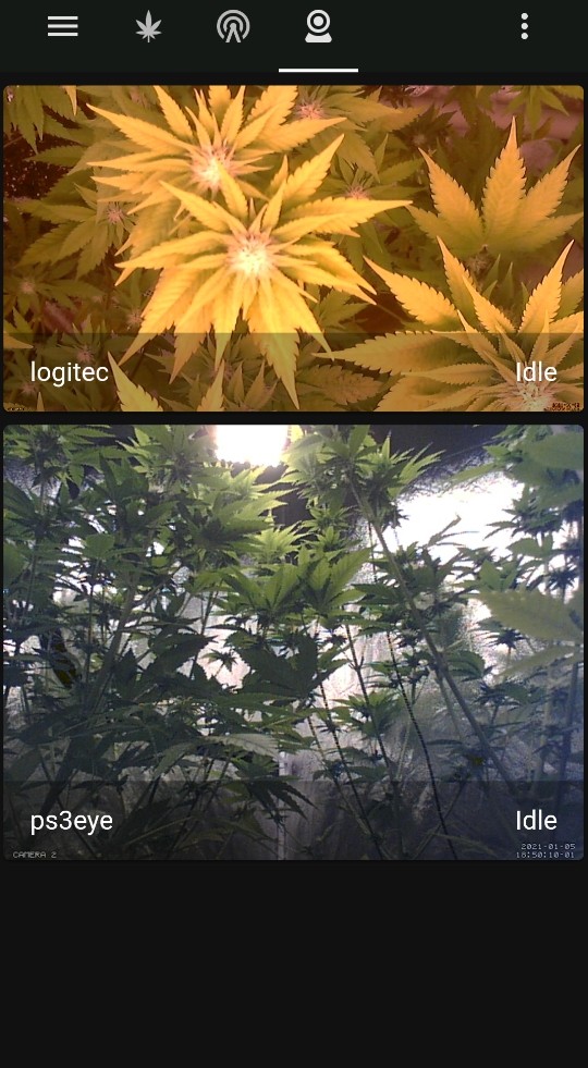 obscura1609872664083