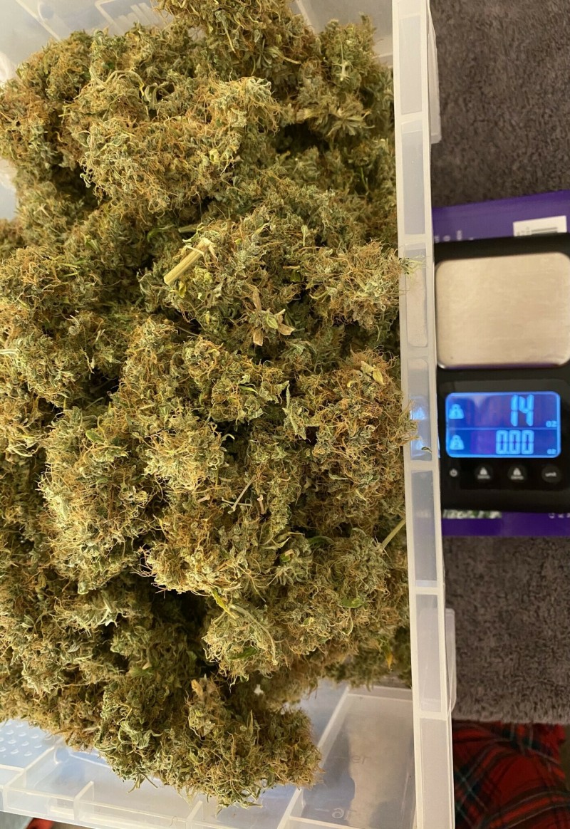 98F3C456-8FA6-4FCB-ACCB-D681E92EA1B8