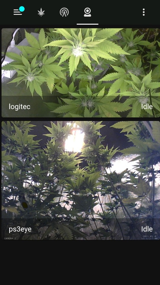 obscura1610021586987