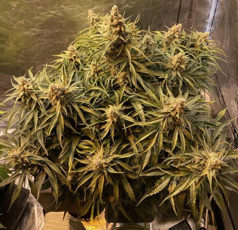 E2415BF0-4635-4BB7-8BE7-65756D214A78