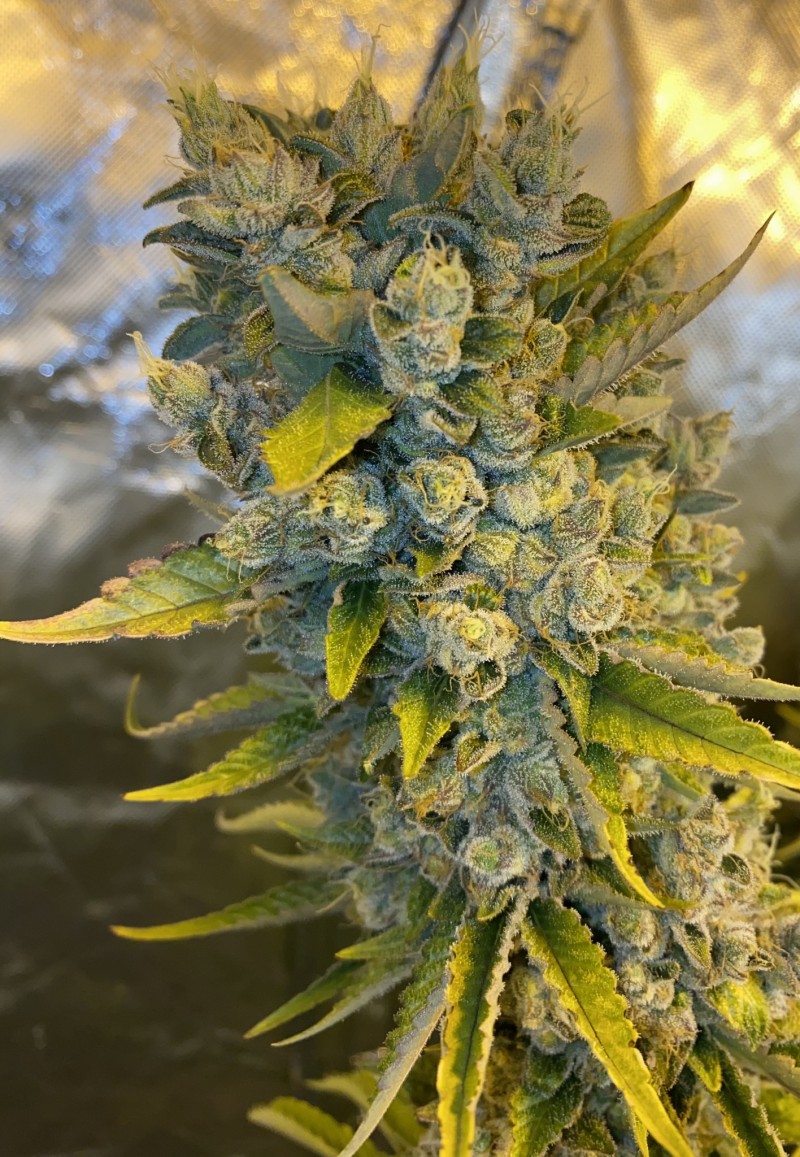 AD14A96D-62A0-413F-AC42-F0397F77D55A