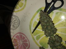 D5E98698-D91D-4AA8-B37B-4EE62384810C