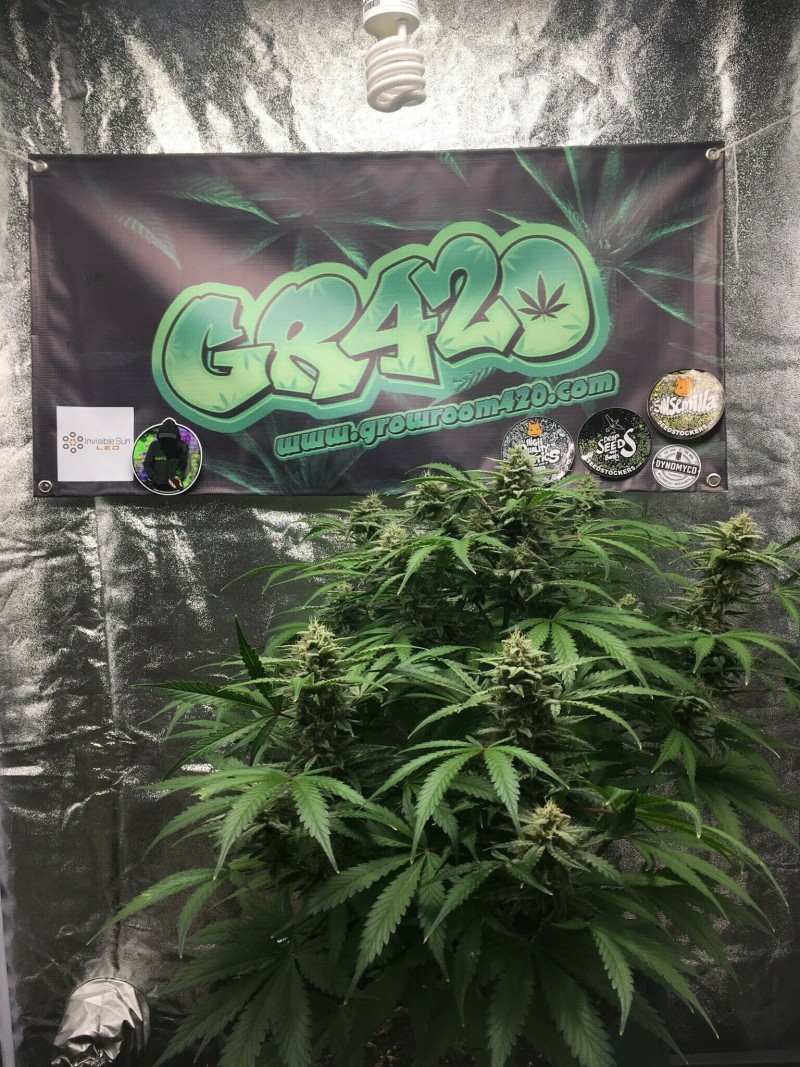 148DF7A6-52AB-44C8-880D-B18FAAF8E0C5