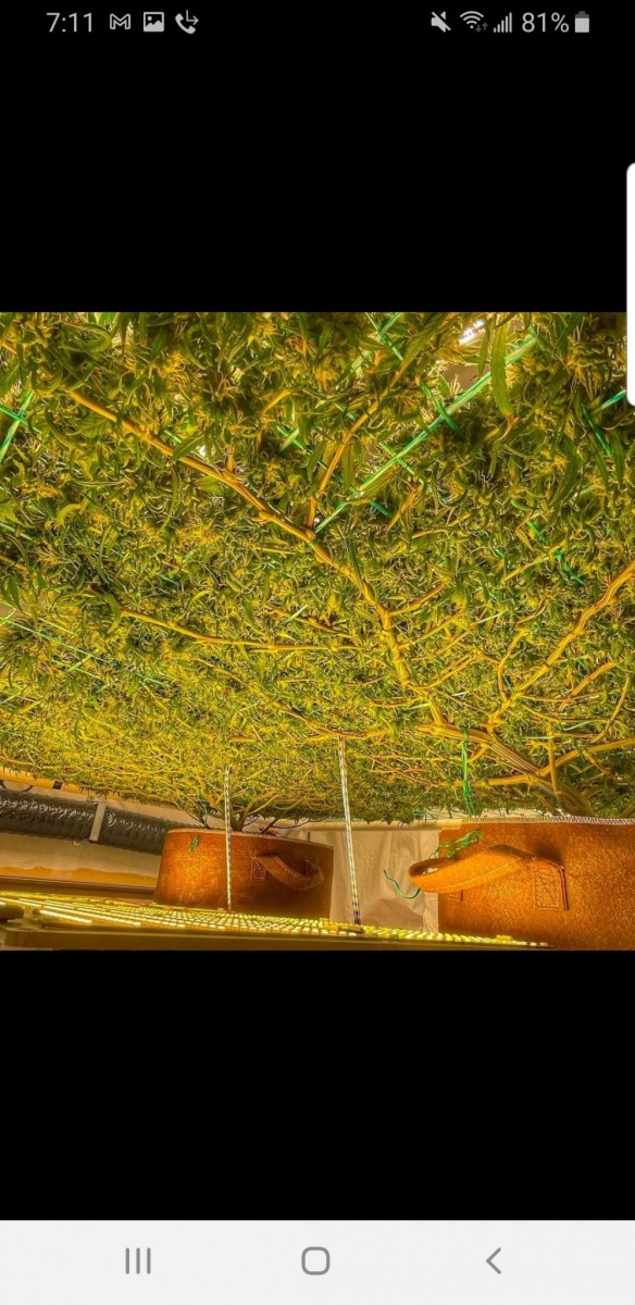 Screenshot_20210118-071142_Facebook