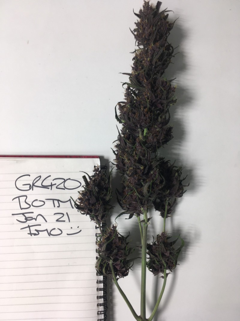 0129646F-C30A-4480-9857-EA977584A9E3