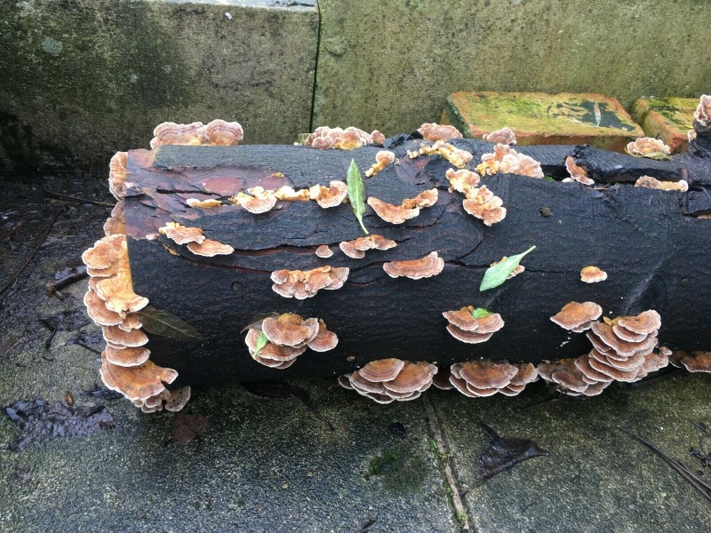 F84269D9-E4A3-4955-8507-6F9080F2E842