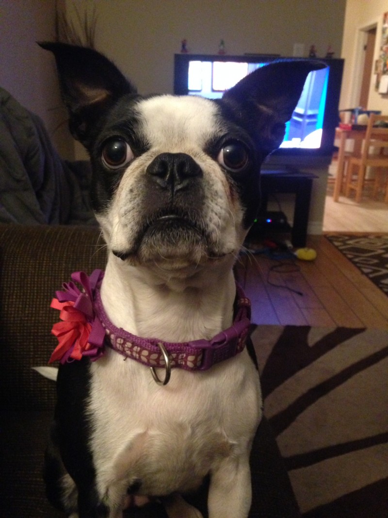 1758BFAE-4752-4BBD-9F68-58AB8772A735