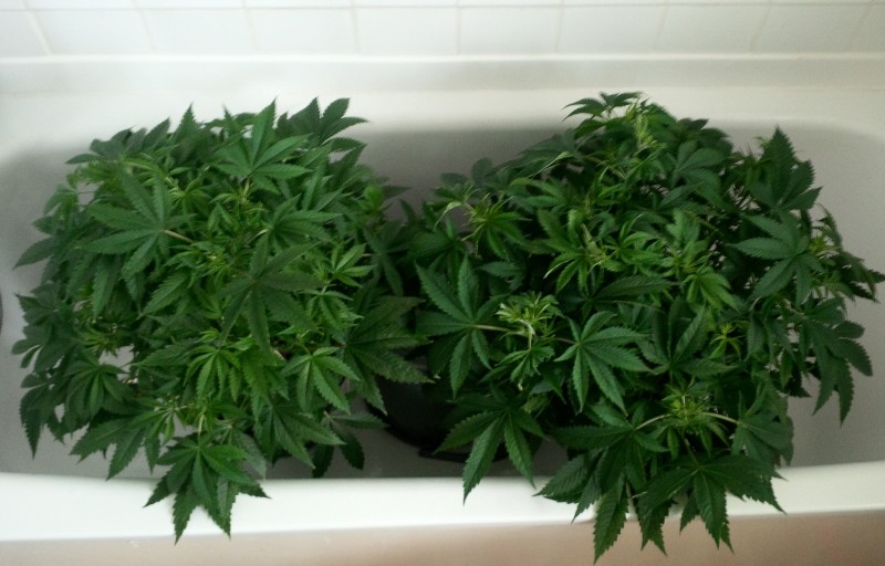 IMG_20210129_103023_edit