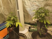 16124609513386574853520825057957