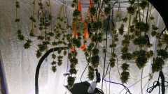 obscura1612473889917