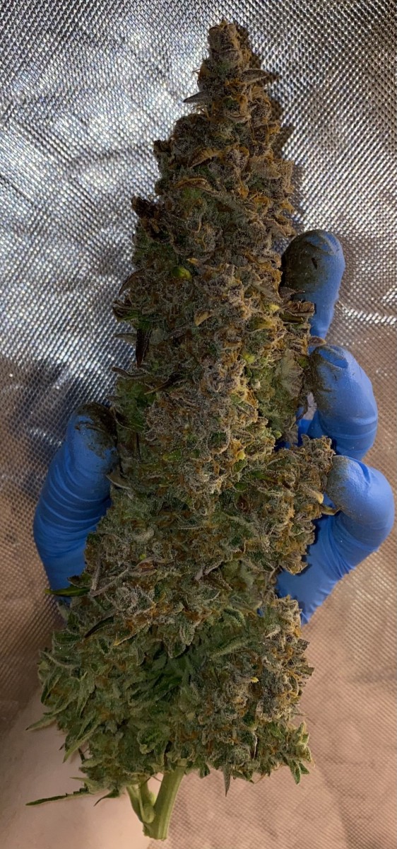 A3C9B687-6CBC-4155-B3CD-489BB743A249