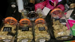 obscura1613136657554