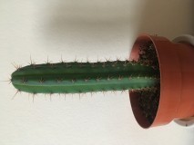 F4078C60-3E61-460F-AAA2-F8AA21F341F8