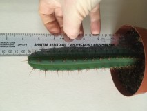 626C1E9E-AD02-4FB1-AD1C-ACB72D87DB49