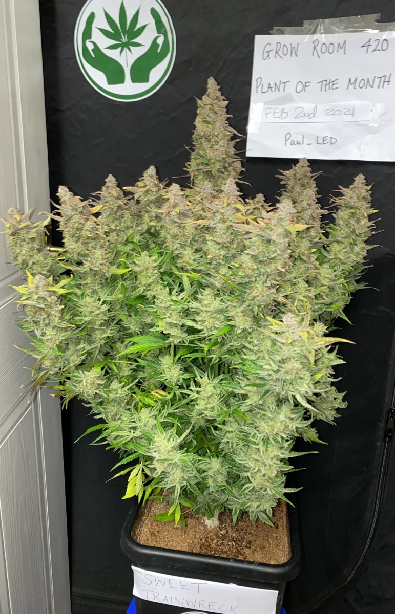 4FB33295-540E-41F6-BDBA-713934B73286