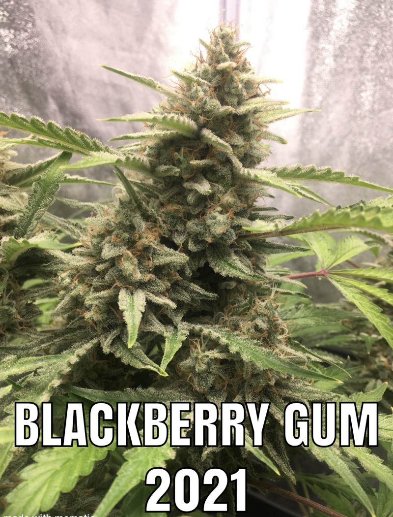 57155BDA-708D-4C3F-95E4-7F3FF3E900C1