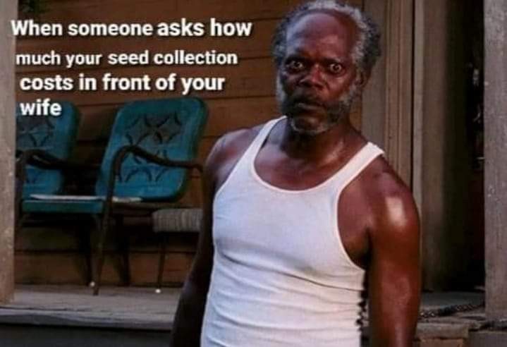 FB_IMG_1613936835451