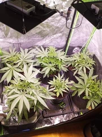 0C306C81-D3D0-420C-A4D0-333CB71EA84A