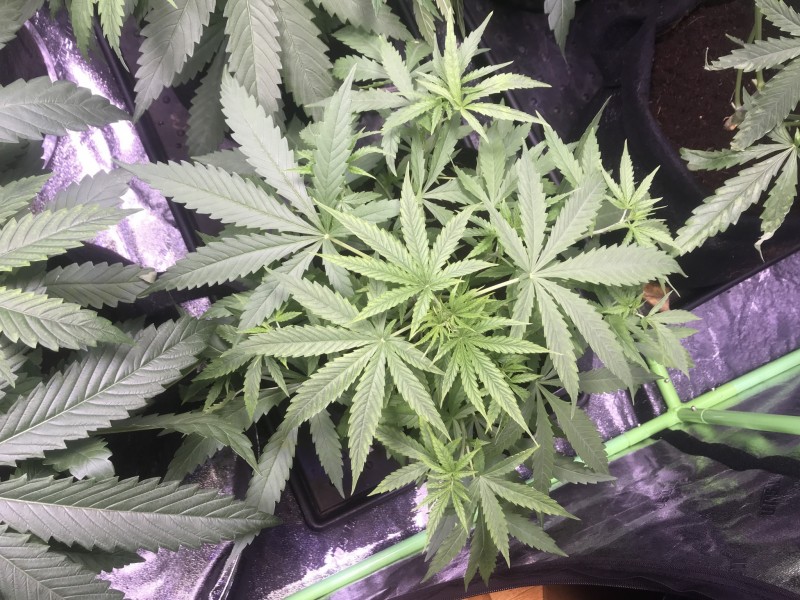 6B1731B6-B893-4B3C-A86B-12EC641B99E6