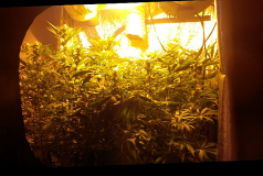 IMG_20210228_182945_edit