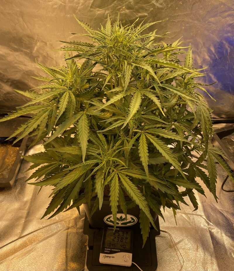 57046F79-6EAF-42C1-BA09-569F3D1A9F44