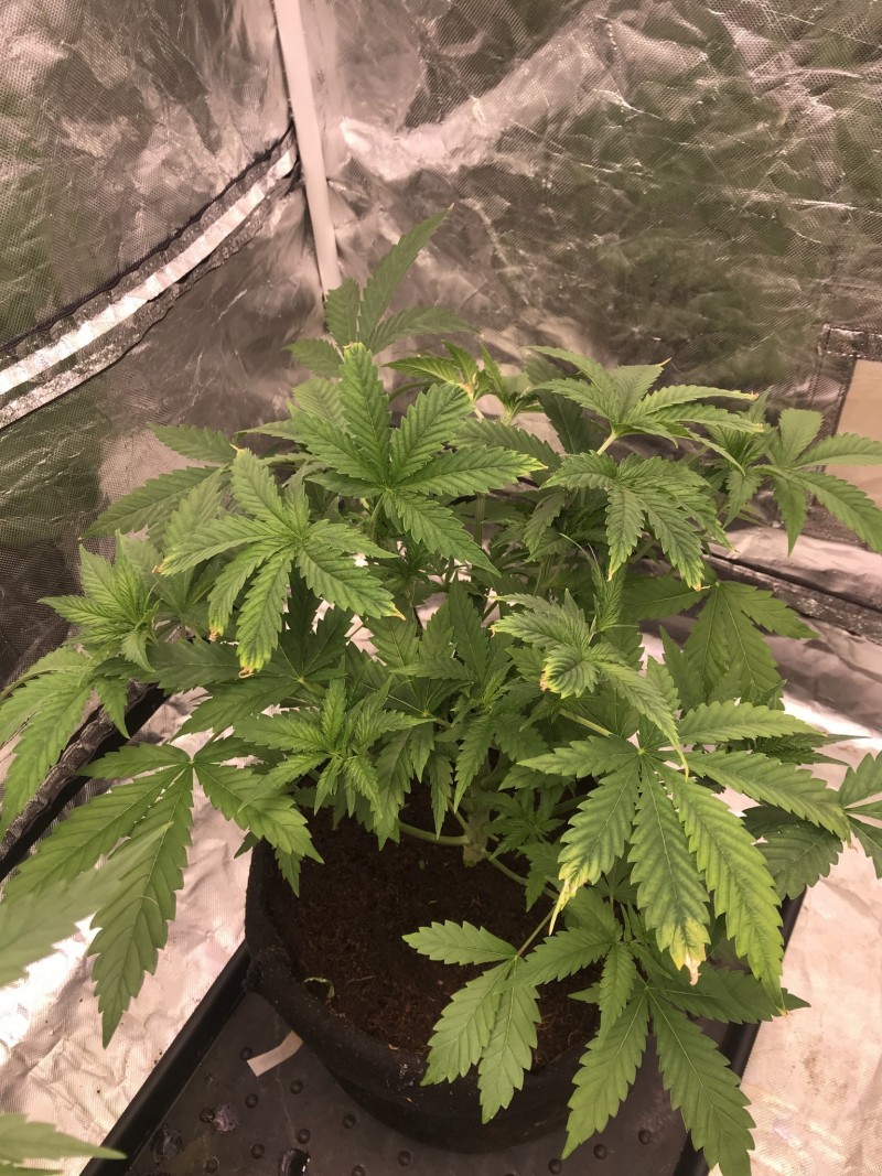 5487C3BF-973D-4C9A-AEC0-E024A112CBDB