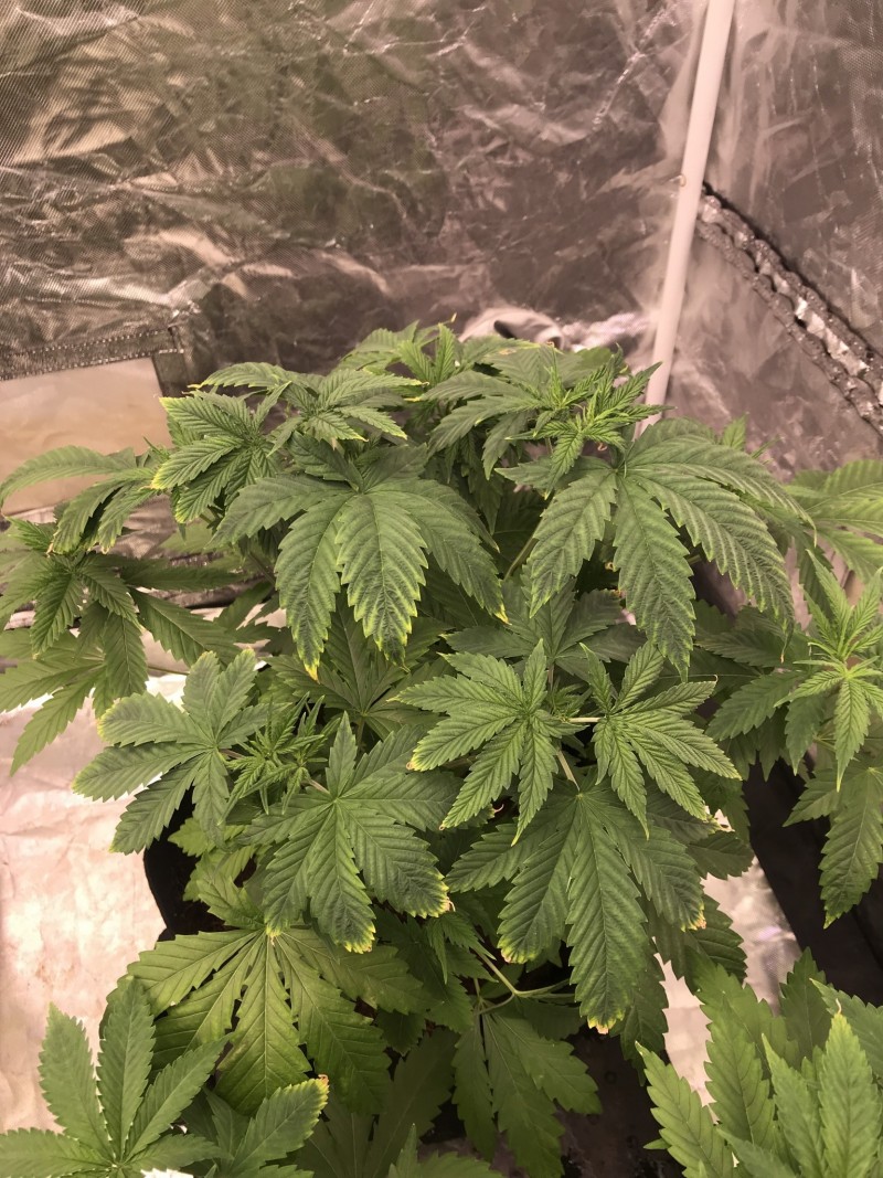 EDA85417-447D-48F9-B3D8-BABFE2E05651