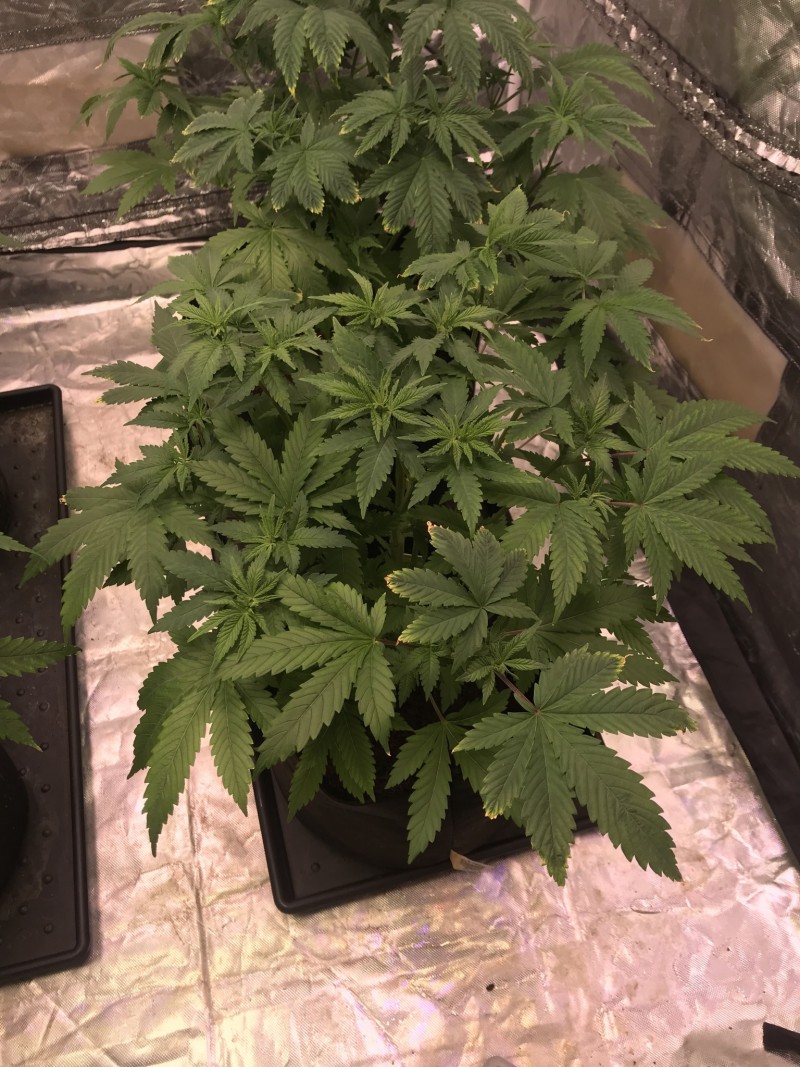 F39D8379-396A-4EA9-B361-E2C6FE073DDD