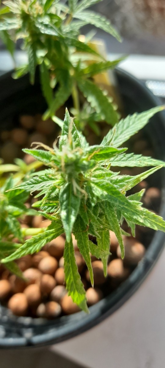 20210305_113605 by the window