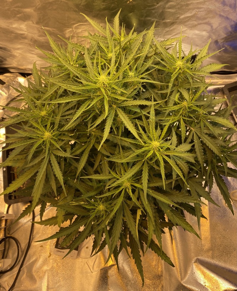 78272F2C-845D-41D1-B8E4-9E88AFC5D735