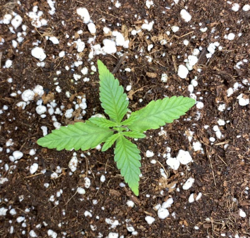 DA29822E-D812-423F-A04D-90B4856AF2F3