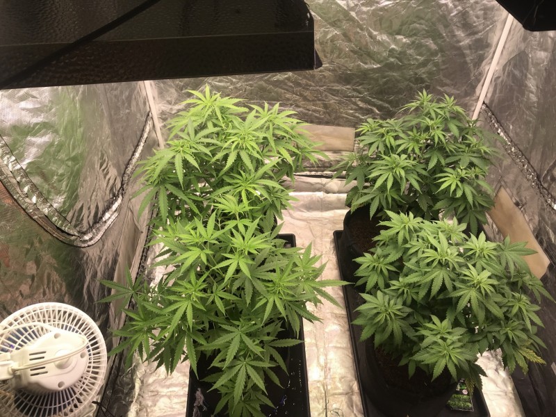 D077B964-AECB-4125-8B31-BF75E7102622