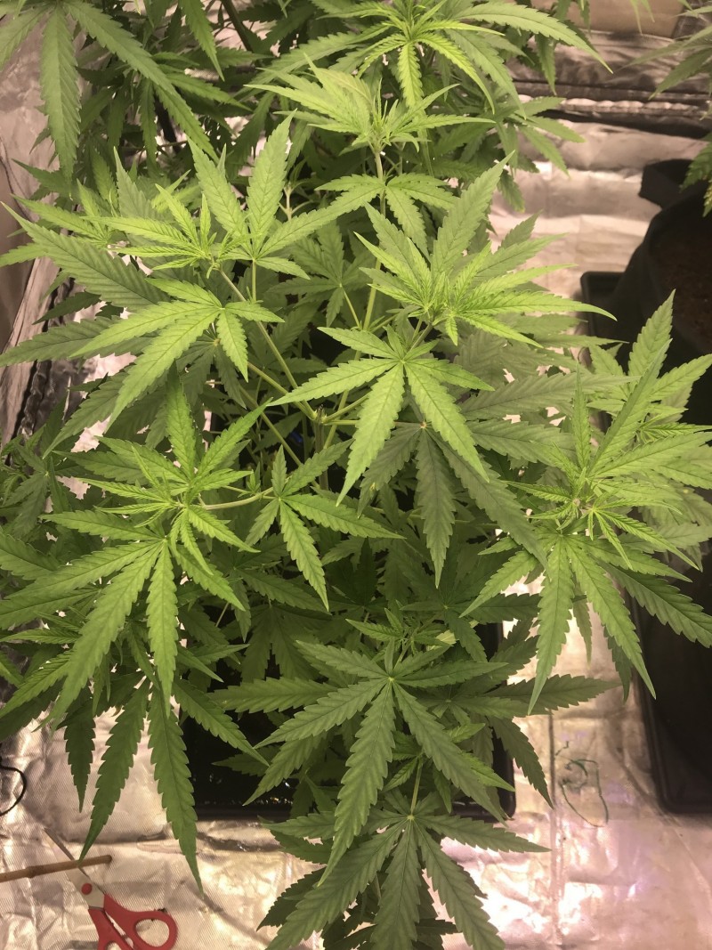 F5100405-1755-4281-ADD8-EAEDBA0CFA6B