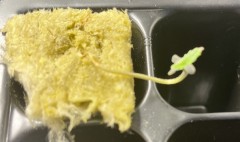 10E2F003-DDD3-4572-854D-81D5B42B2753