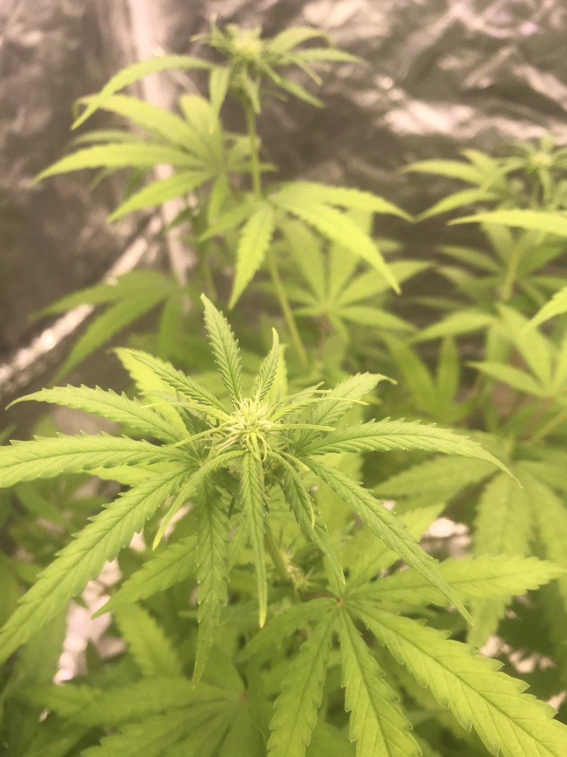 CD9E072C-EB9F-4892-9EE6-C4EB6314DBBB