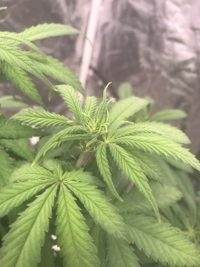 20F5CE54-C94C-44F2-9960-AA740D08443A