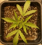 F491C544-14A2-4B7A-81CE-B835991EBC2A