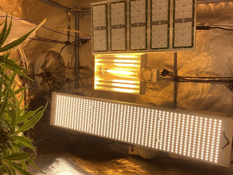 EDB7D730-B437-4F15-96B6-AECF1B29CAFB