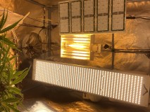 EDB7D730-B437-4F15-96B6-AECF1B29CAFB