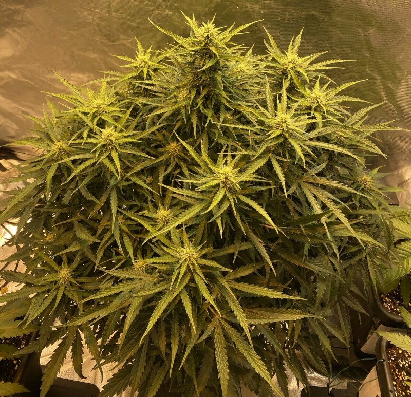 1CF23EA9-6D6F-4094-B3E6-EF91E1FDCB34