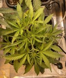 20C48ED7-46FB-4D19-8F0F-2238BBFE53BB