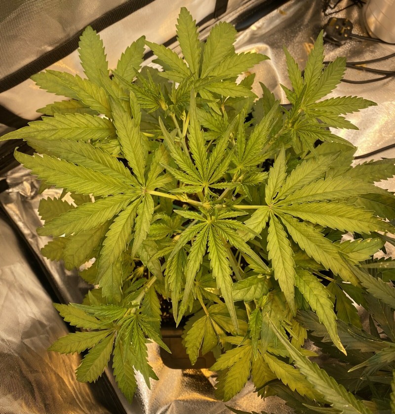 48129F74-E26E-4892-A253-99FF398E4FE3