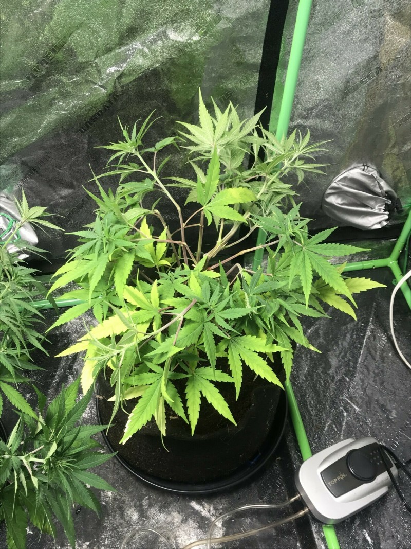 CD9FF9E5-8FF2-4C78-BCB0-5F13F4185523