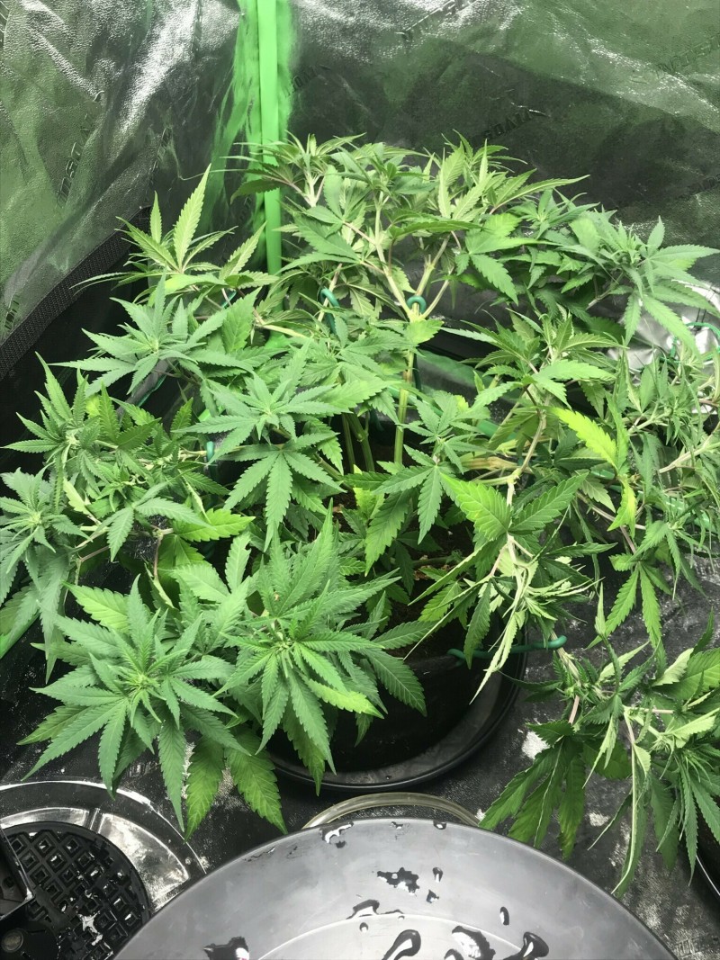 7186641B-448F-498B-84F0-5A3F28A8E343