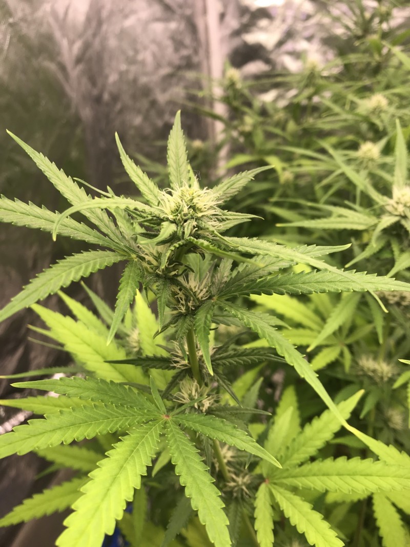 D0032EE5-C938-47B5-BAEC-BC4F94DAB09B