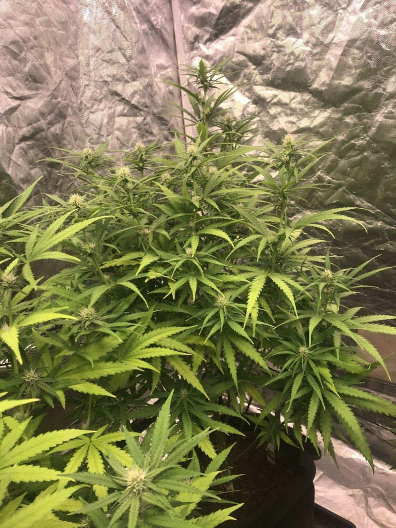 60CA044C-6F67-408C-8B72-4B8DE581705E