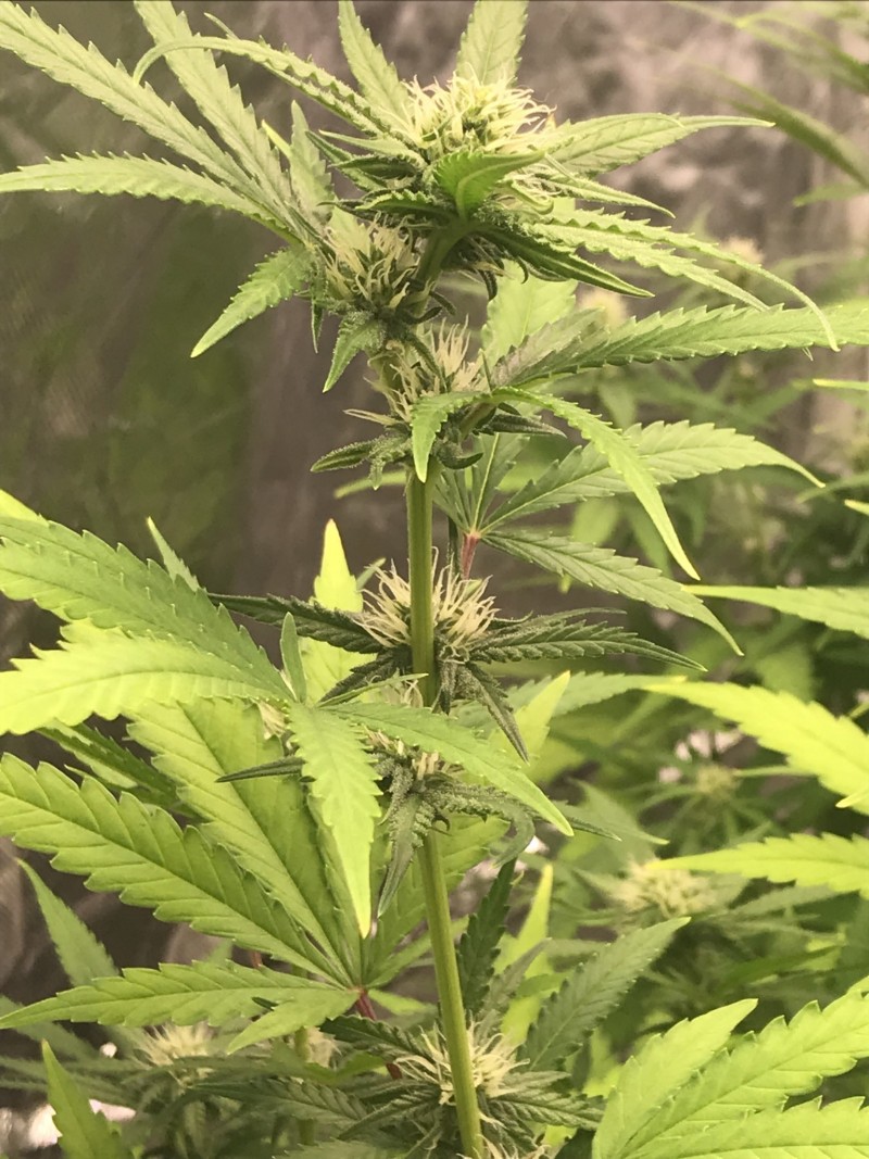 7F0052A4-6F22-4493-936E-5FB701867695