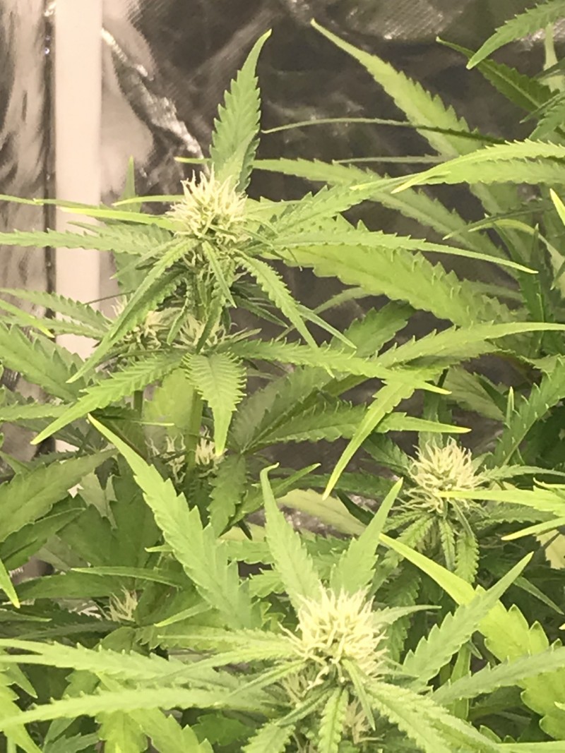 10D1E1B4-B949-4377-97EF-444D33F44CD0